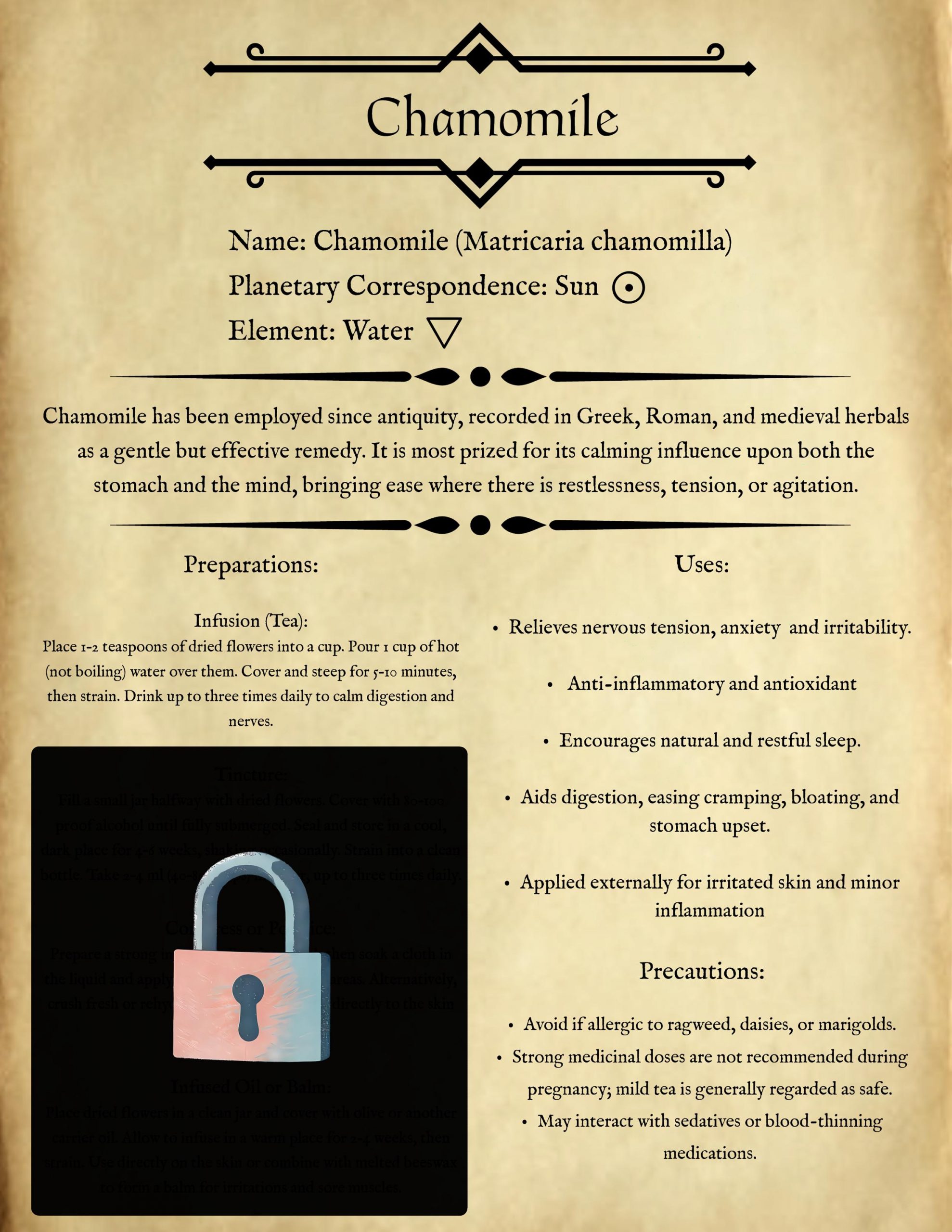 The Wandering Alchemist’s Herbal Guide: Chamomile - Image 2