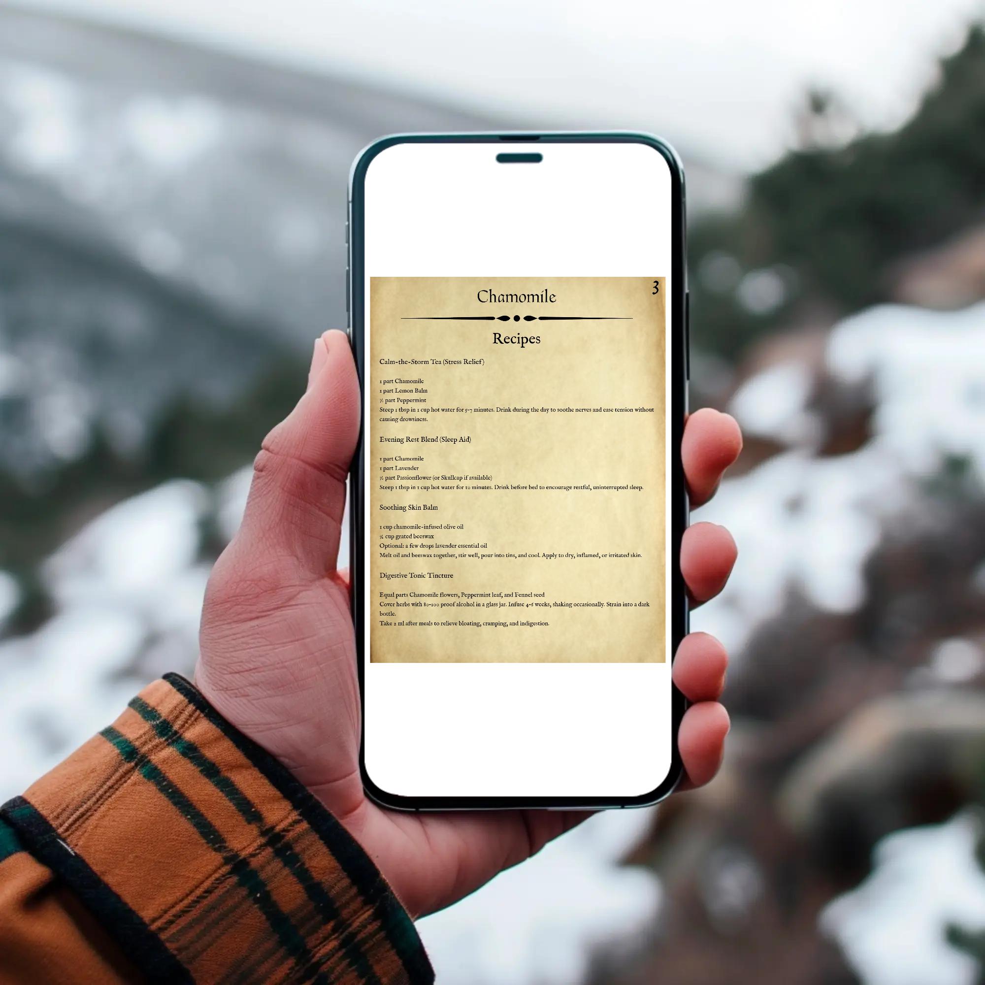 The Wandering Alchemist’s Herbal Guide: Chamomile - Image 9