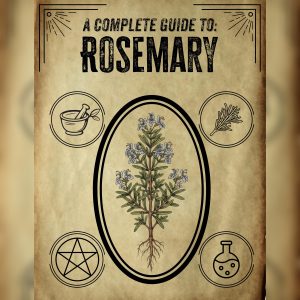 Rosemary Herbal Guide | Digital Apothecary Compendium | Materia Medica PDF