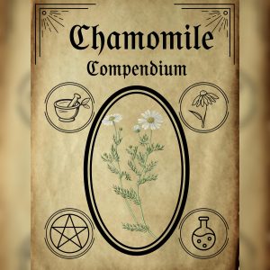The Wandering Alchemist’s Herbal Guide: Chamomile