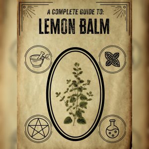Lemon Balm Herbal Guide: Natural Remedies, Apothecary Compendium (PDF Download)